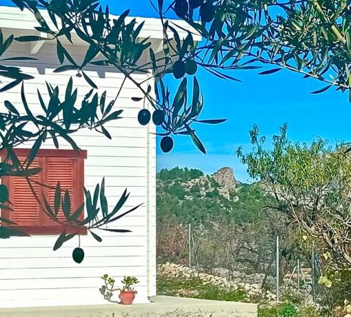 Finca rústica en Diseminado Diseminados