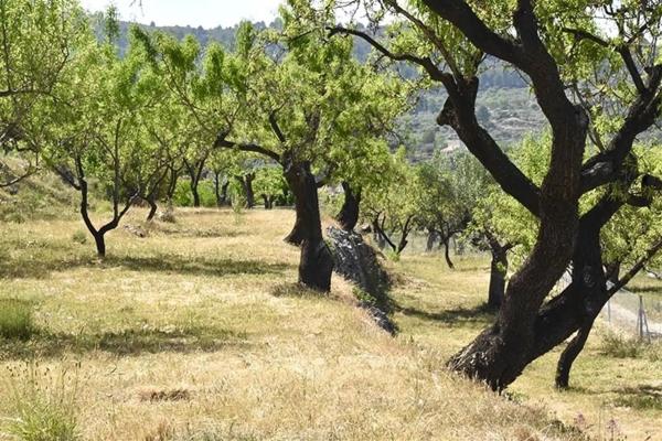 Finca rústica en Diseminado Diseminados