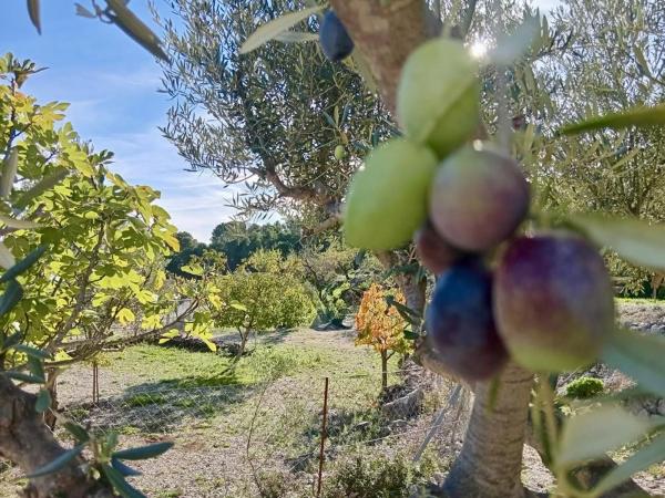 Finca rústica en Diseminado Diseminados