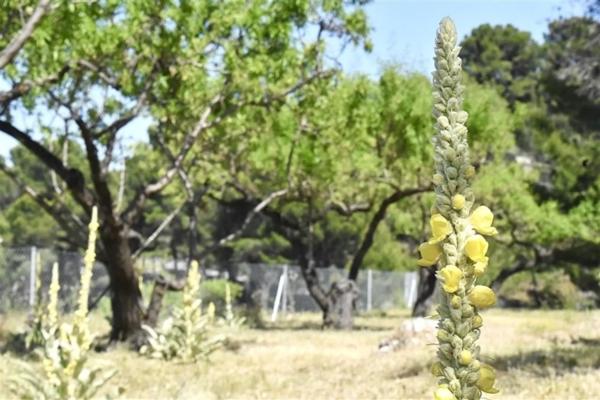 Finca rústica en Diseminado Diseminados