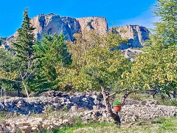 Finca rústica en Diseminado Diseminados