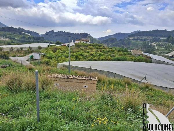 Chalet adosado en de la constitución