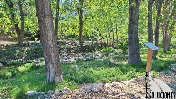 Chalet adosado en de la constitución