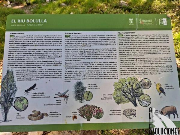 Chalet adosado en de la constitución