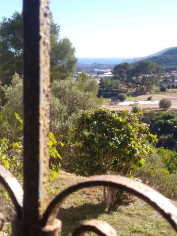 Casa independiente en calle Ausiàs March, 27