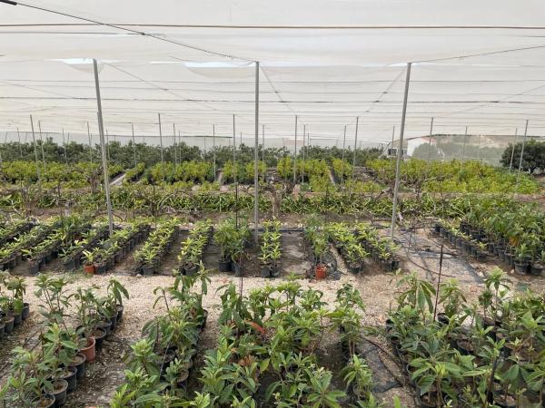 Casa independiente en Finca Rustica s/n