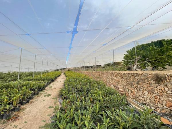 Casa independiente en Finca Rustica s/n