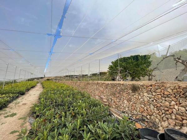 Casa independiente en Finca Rustica s/n