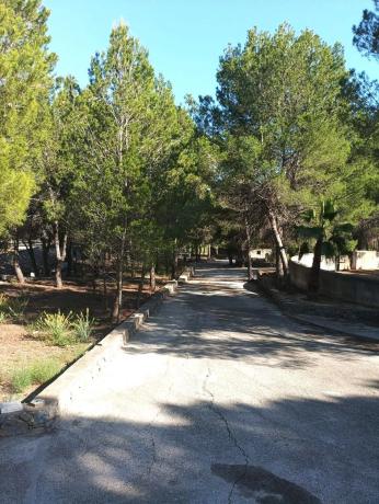 Caserón en Callosa d'En Sarria