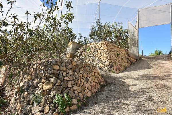 Finca rústica en calle del Fondo