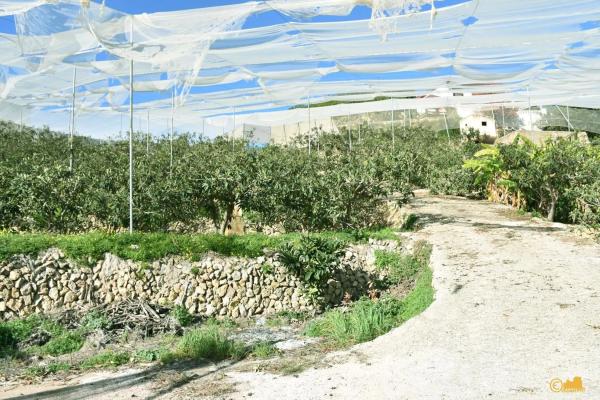 Finca rústica en calle del Fondo