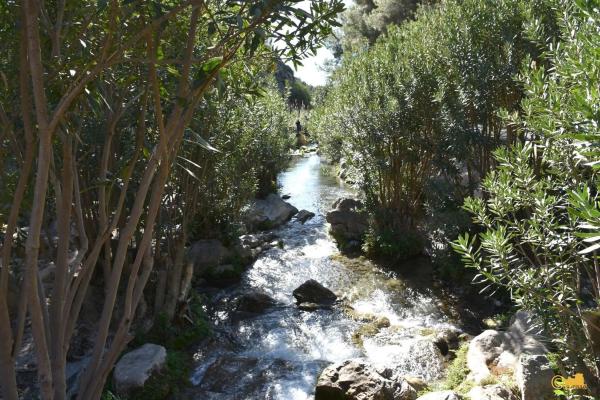Finca rústica en calle del Fondo