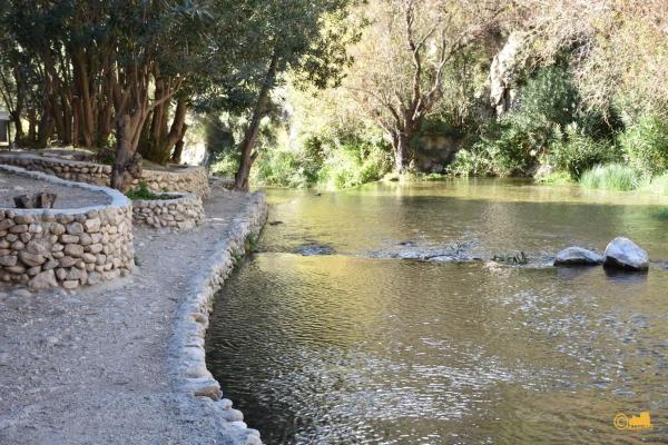 Finca rústica en calle del Fondo