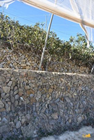 Finca rústica en calle del Fondo