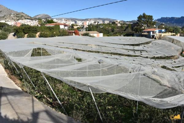 Finca rústica en calle del Fondo