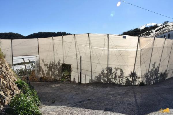 Finca rústica en calle del Fondo