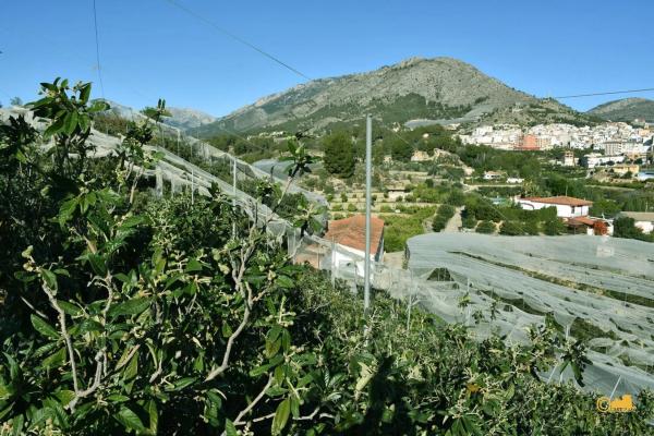 Finca rústica en calle del Fondo