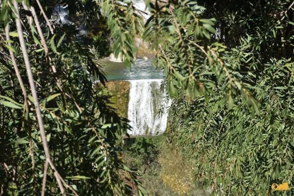Finca rústica en calle del Fondo