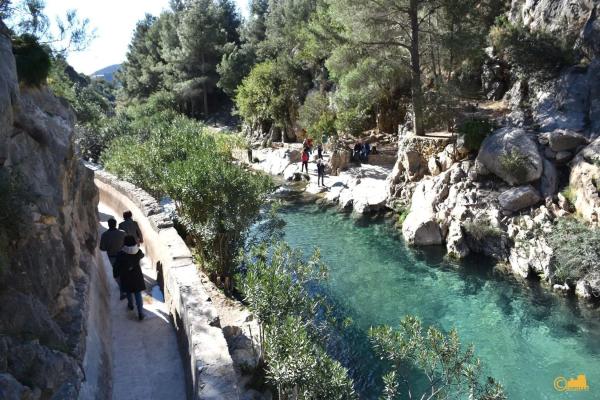 Finca rústica en calle del Fondo