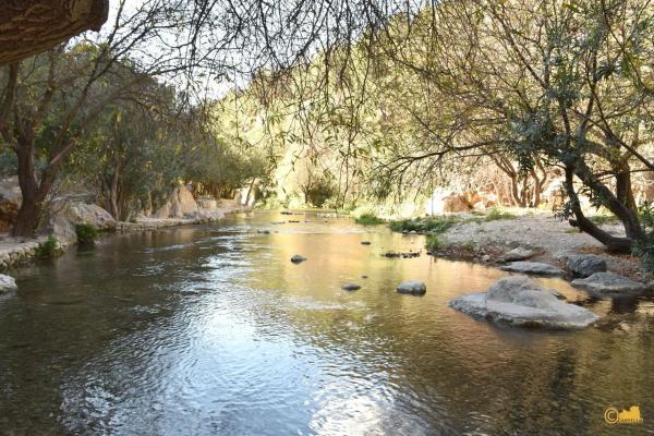 Finca rústica en calle del Fondo
