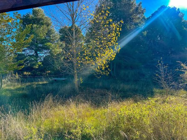 Finca rústica en via Sense Nom