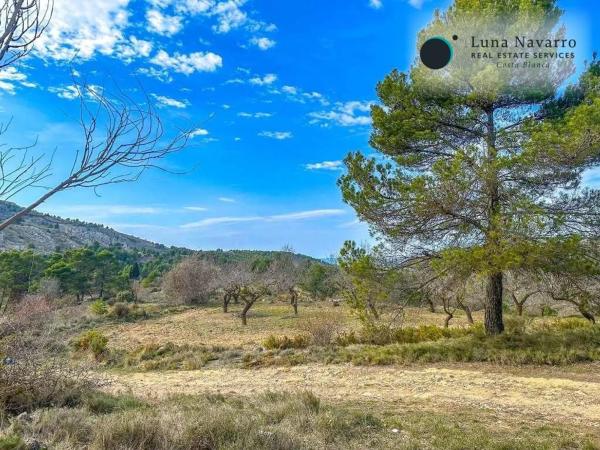 Finca rústica en via Sense Nom