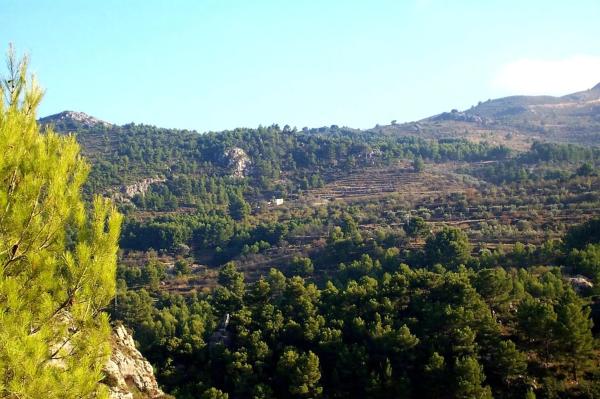 Finca rústica en calle san antono