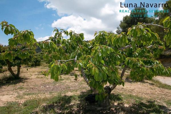 Finca rústica en via sense nom