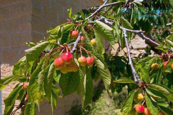 Finca rústica en via sense nom