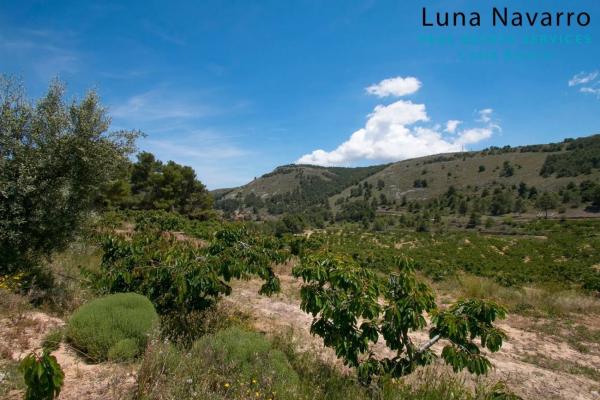 Finca rústica en via sense nom