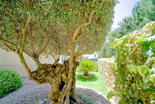 Casa independiente en calle Isla de Lanzarote, 7