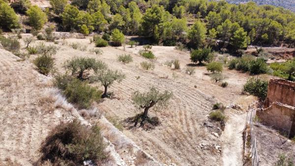 Finca rústica en Polígono Alhambra.Sector 17