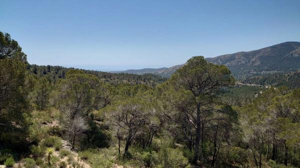 Finca rústica en El Realet, 20