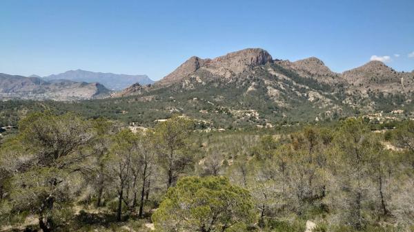 Finca rústica en El Realet, 20
