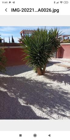 Chalet adosado en calle Cádiz, 10