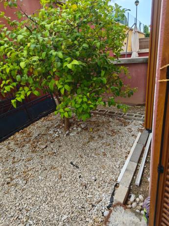 Chalet adosado en calle Cádiz, 10