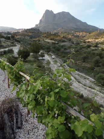 Casa independiente en camino de l'Alfàs, 3