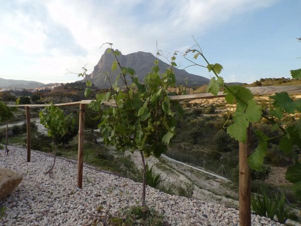 Casa independiente en camino de l'Alfàs, 3