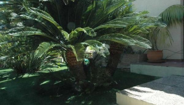 Casa independiente en calle Viena