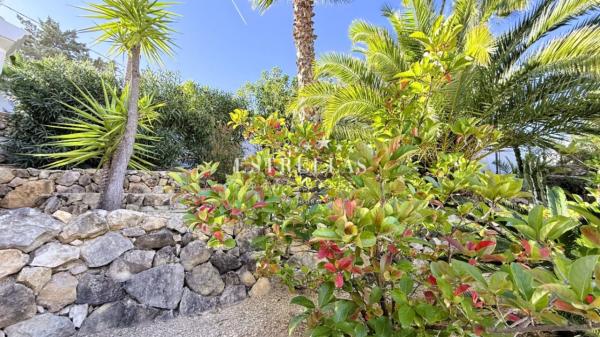 Casa independiente en calle El Salvador