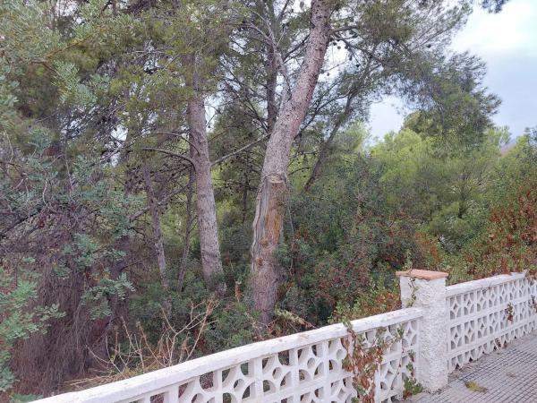 Casa independiente en calle gessami, 10