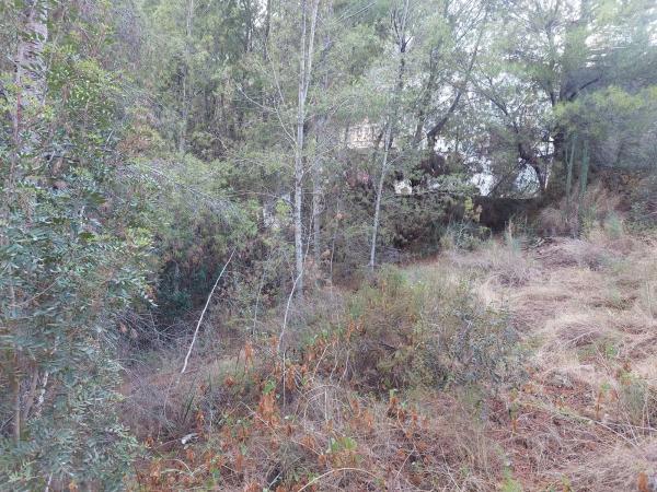 Casa independiente en calle gessami, 10