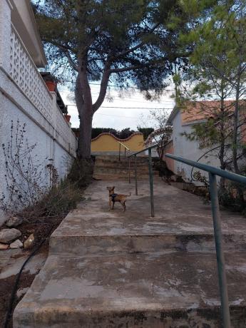 Casa independiente en calle gessami, 10