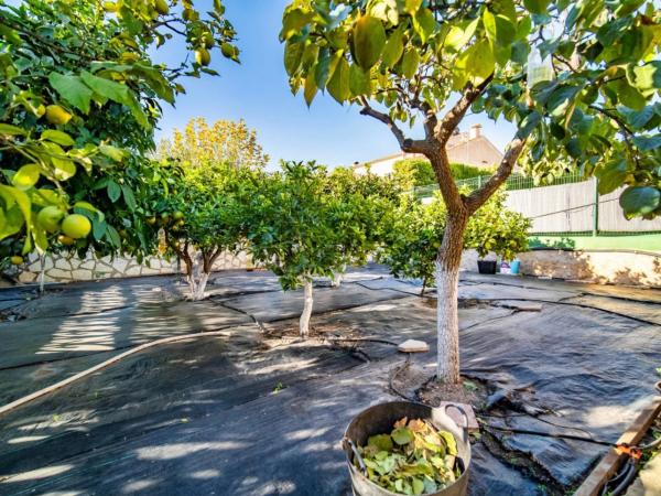 Casa independiente en avenida de Coloma