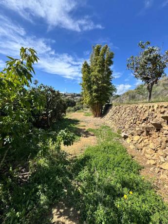 Finca rústica en Pda. Captivador