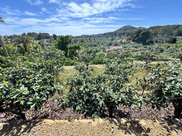 Finca rústica en Pda. Captivador