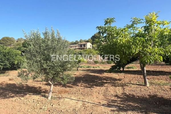 Casa independiente en Partida Collaet