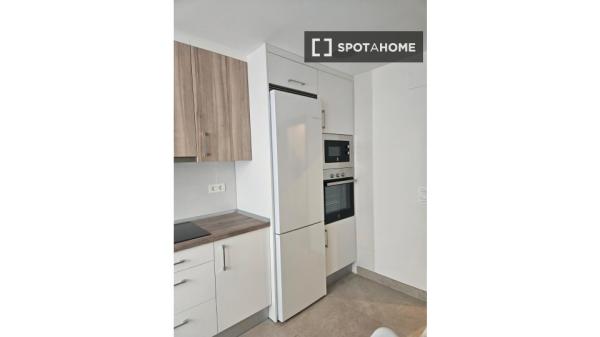 Chambre en colocation à Saragosse