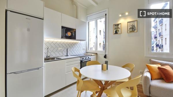 Piso de 2 habitaciones en alquiler en El Raval, Barcelona.