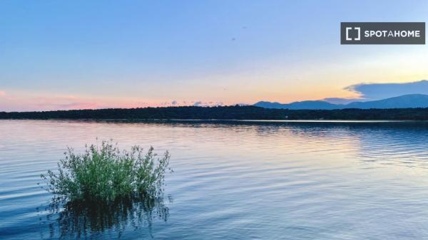 Estudio en alquiler en Colmenarejo, Madrid